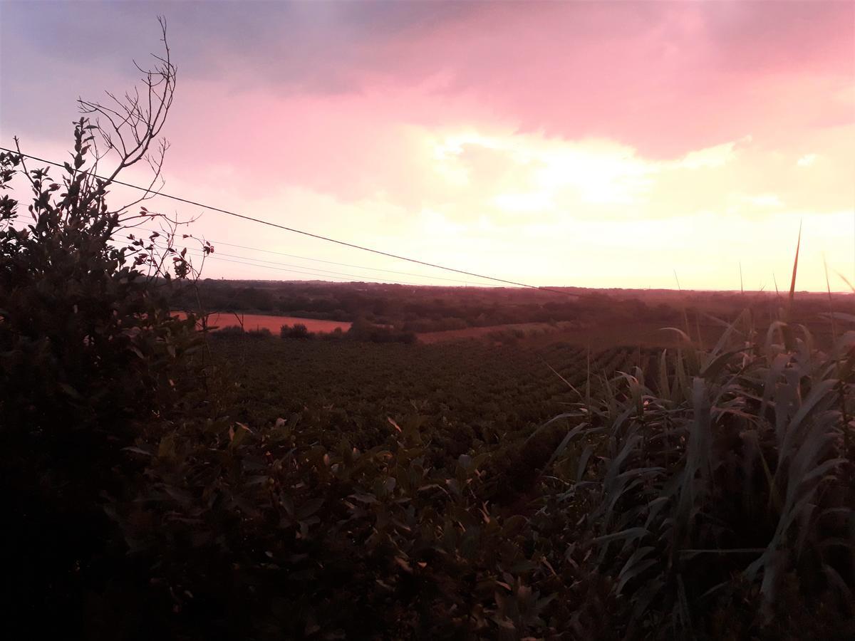 Domaine De Beaumont Villa Agde Ngoại thất bức ảnh